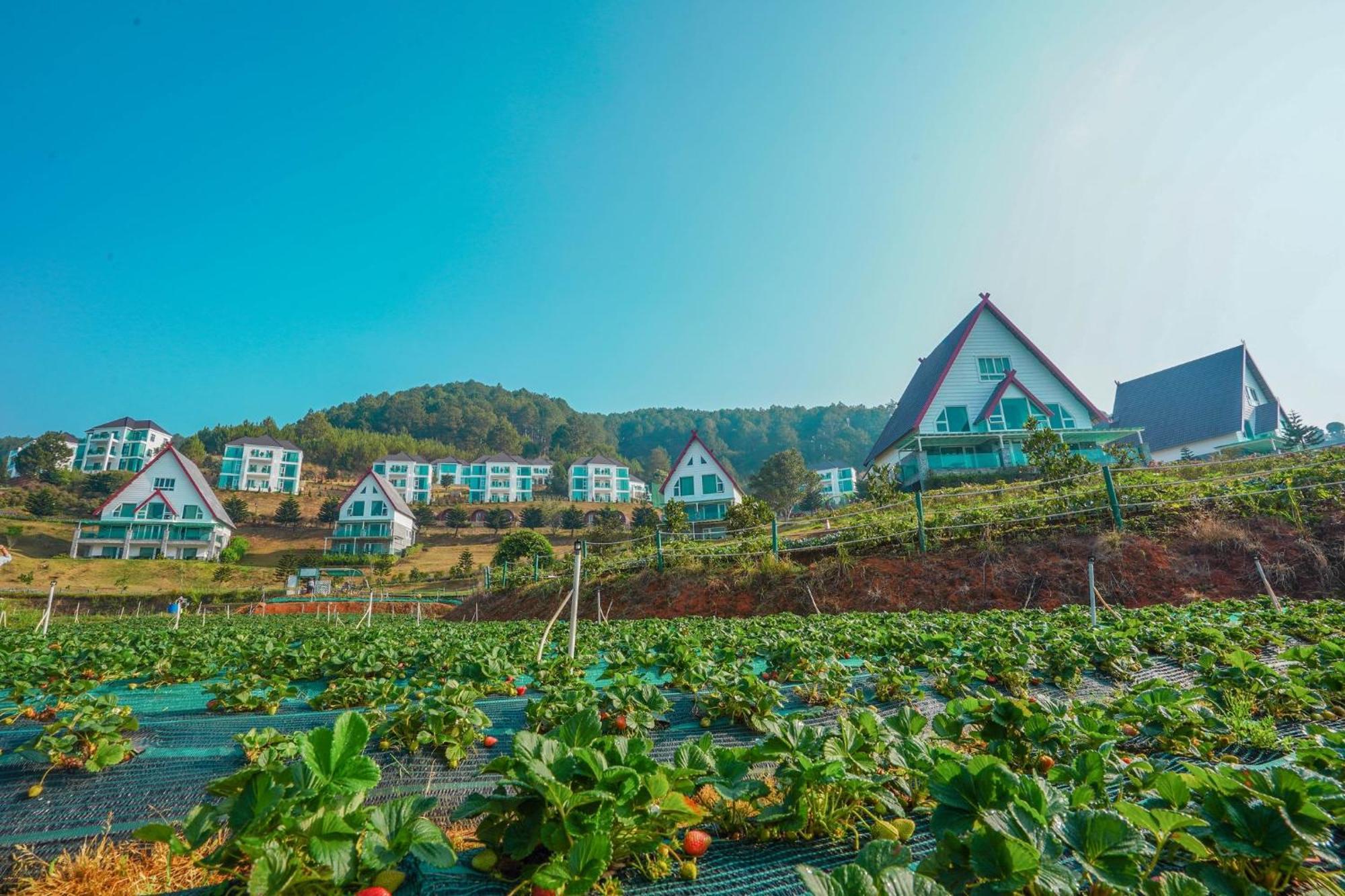 Dalat Wonder Resort Esterno foto
